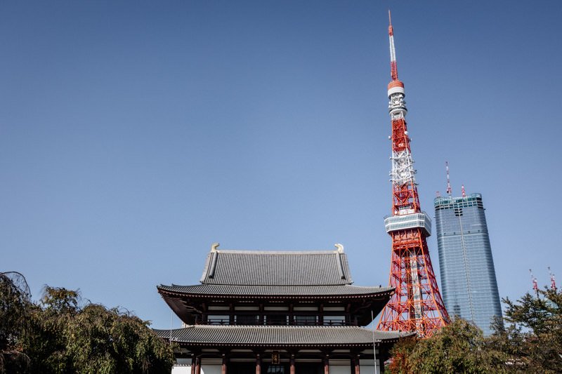 東京タワーと増上寺の本殿