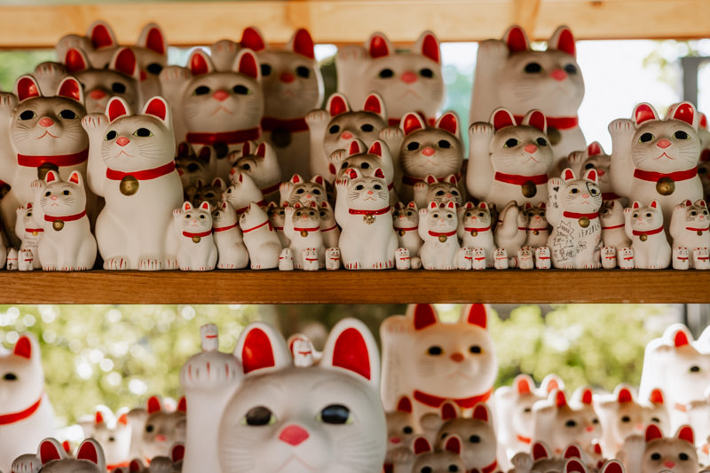 Lucky Cat, Manekineko at Gotokuji Temple