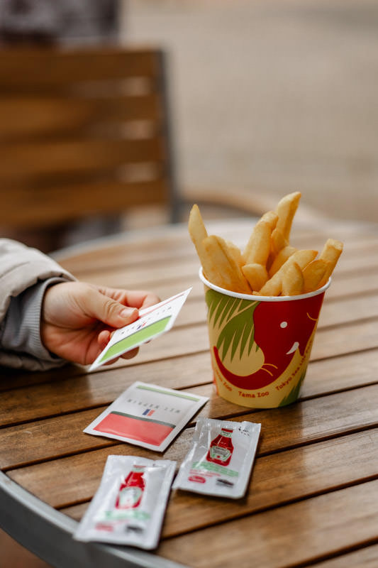 Fresh hot fries from KOMOREBI - the zoo's gift shop and snack stand