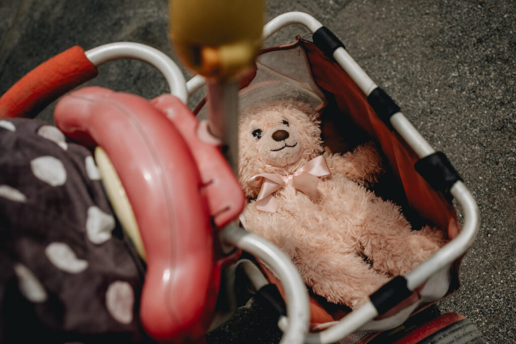 Pink Teddy bear in the kids tricycle basket